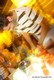 CDJ Show 2010 Gallery - All Rights Reserved